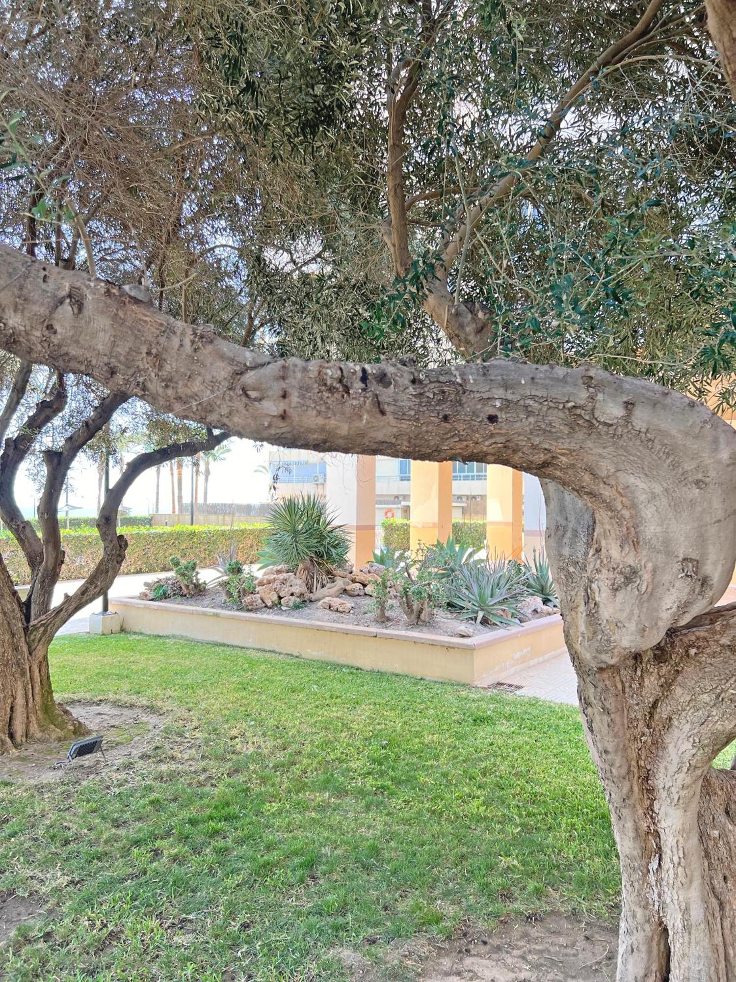 Apartment Oasis Frente Al Mar. Parking Gratis